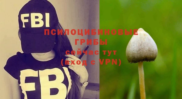 тгк Алексеевка